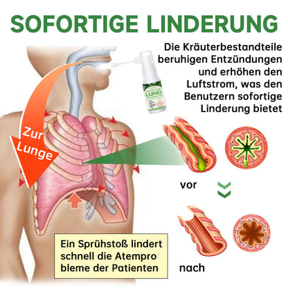 Ourlyard™ Kräuterlungenreinigungs- und Reparaturspray